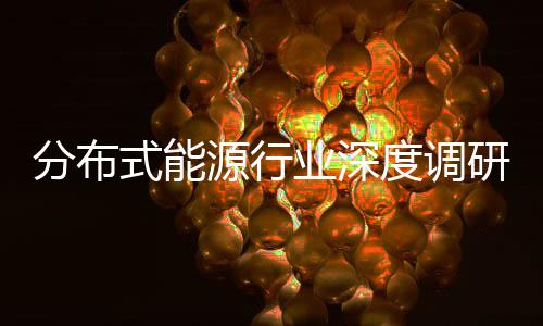分布发展突破策驱源行业深研与政元化技术度调动下的多式能