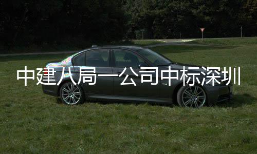 厦项目，0米中建圳粤再添高层超一公八局标深建筑地大海置司中