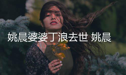 媳 婆婆去世挚友更是晨姚晨 姚不只丁浪是婆